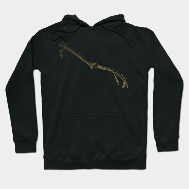 Armature Hoodie by Raleigh Stewart